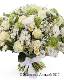 ����� ������� � �������