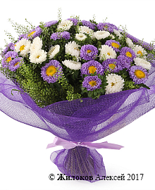 ����� �������� ������ (�����)