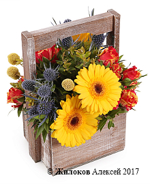 ���������� ��������� ���� � �����