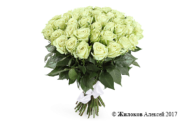 ����� 51 ���� ���� ��