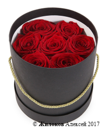 ����� 7 ��� � ������� ������� (������)