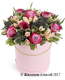 ����� ������������� ���������� � ������� �������