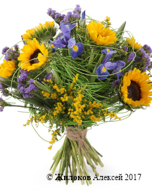 ����� � ������������ ����� �����