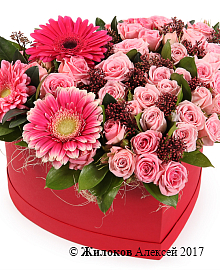 ����� � ����� ����� � ������� ������� ������