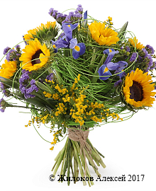 ����� � ������������ ����� �����