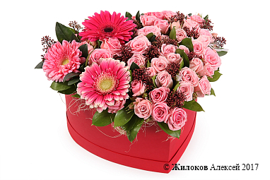 ����� � ����� ����� � ������� ������� ������