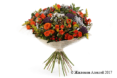 ����� ����� ������