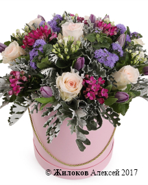 ����� ������ ���� � ������� �������