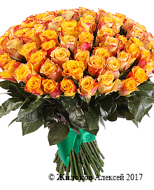 ����� 101 ���� ���� ����