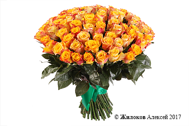 ����� 101 ���� ���� ����