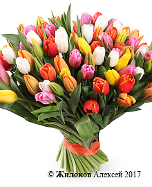 ����� 101 �������, �������� ����