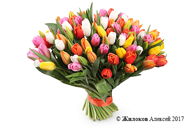 ����� 101 �������, �������� ����