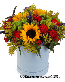 ����� � ������������ ����������� ����� � ������� �������