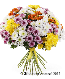 ����� 31 �������� ����������