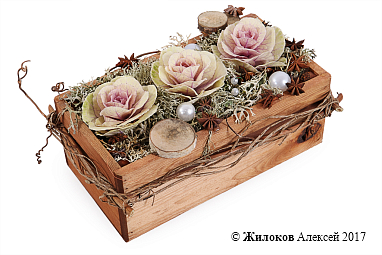 ���������� ������� ������ � �����