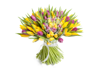 ����� 101 �������, �����-����������