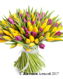 ����� 101 �������, �����-����������