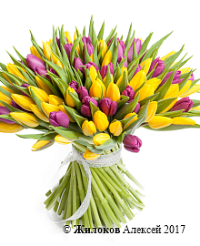 ����� 101 �������, �����-����������