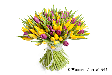 ����� 101 �������, �����-����������