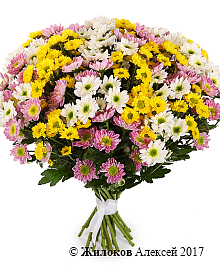 ����� 31 ���������� �������