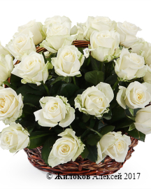 ����� 35 ��� ������� � �������