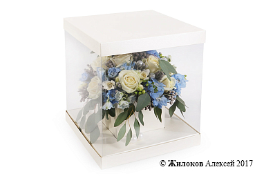 ����� ��� ����� ����� � ������� �������