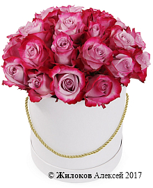 ����� 25 ��� ��� ����� � ������� �������