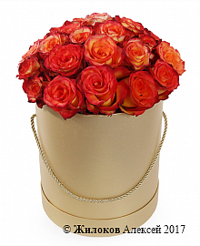 Букет 25 роз Хай Мэджик в шляпной коробке