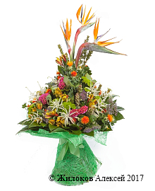 ����� � �������������� �������