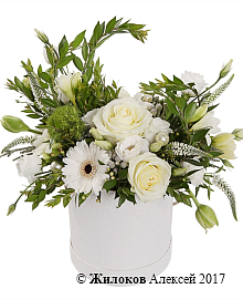 ����� ������ ����� � ������� �������