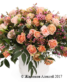 ����� �������� ����� � ������� �������