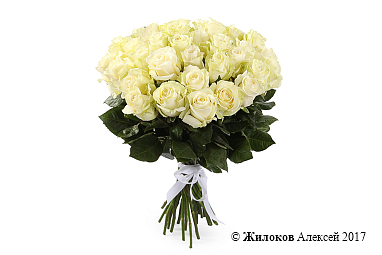 ����� 35 ��� ��������