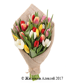 ����� ��������� �����