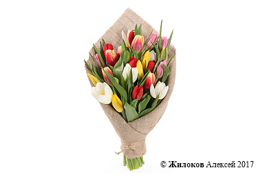 ����� ��������� �����