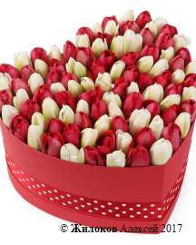 ���������� �������� ����������� � ������� ������� ������ (�����), ������-�����