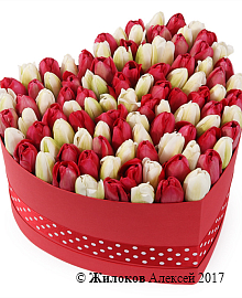 ���������� �������� ����������� � ������� ������� ������ (�����), ������-�����