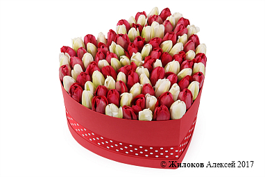 ���������� �������� ����������� � ������� ������� ������ (�����), ������-�����