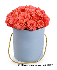 ����� ��������� ���������� � ������� ������� (����)