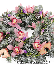 ����� ������ ���������