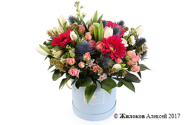 ����� ������� ��-����������� � ������� �������