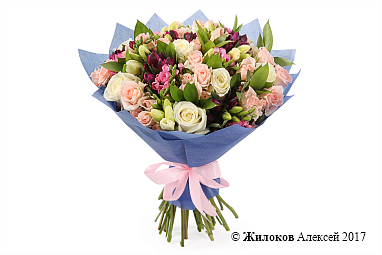 ����� ������� ��������