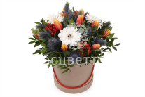 ����� ������� � ������� �������