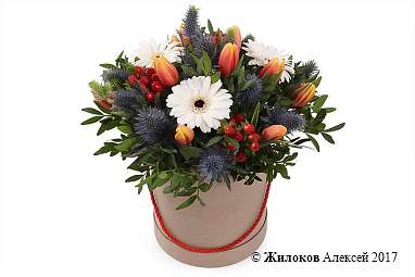 ����� ������� � ������� �������