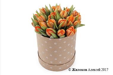 ����� 25 ��������� � ������� �������, ���������