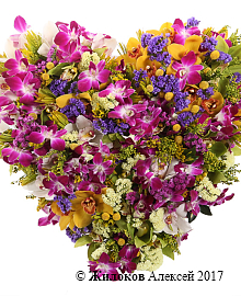 ����� ������ �������