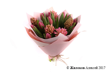 ����� ������ �� �������� �����