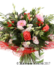 ����� ���� ������