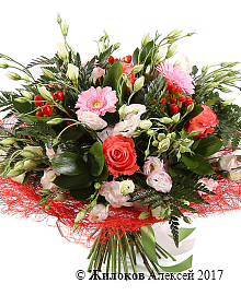 ����� ���� ������