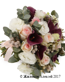 ����� ������� ������