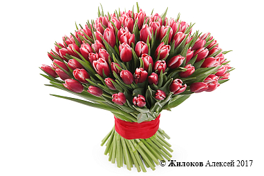 ����� 101 ����������� �������, ����